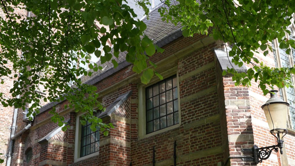 Viriditas: How the Journey&nbsp;begun